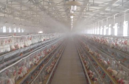 کاربرد مهپاش برای ضدعفونی